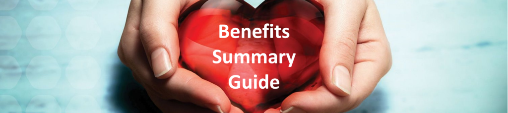 Benefit Summary Guide Logo
